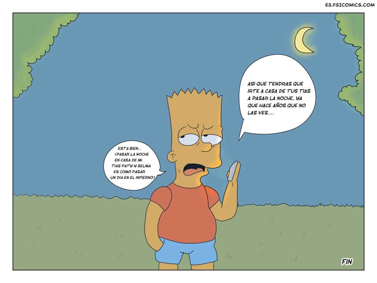 Bart And Manjula – Marecattus - 27 - FSI Comics bart-and-manjula-marecattus-027